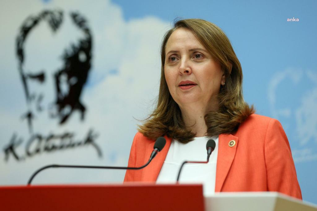 CHP'li Dinçer, Kılıçdaroğlu'nun Sosyal Demokrasi Derneği'nden ihracına tepki gösterdi