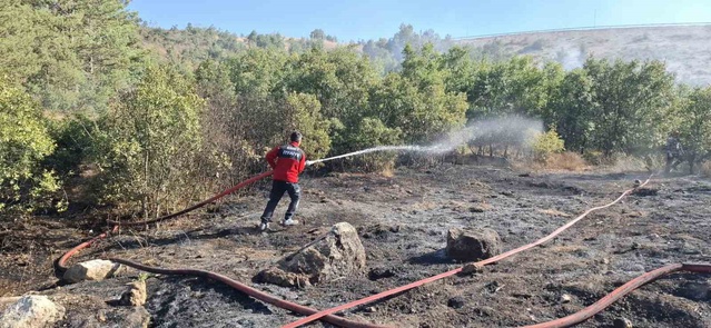 Kütahya Emet'te dağlık alanda çıkan orman yangını ekiplerin müdahalesiyle söndürüldü