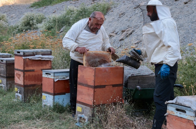 Ordulu arıcı Ekrem Özçelik, 50 yıldır Hakkari'de yaklaşık 500 kovanda bal üretiyor
