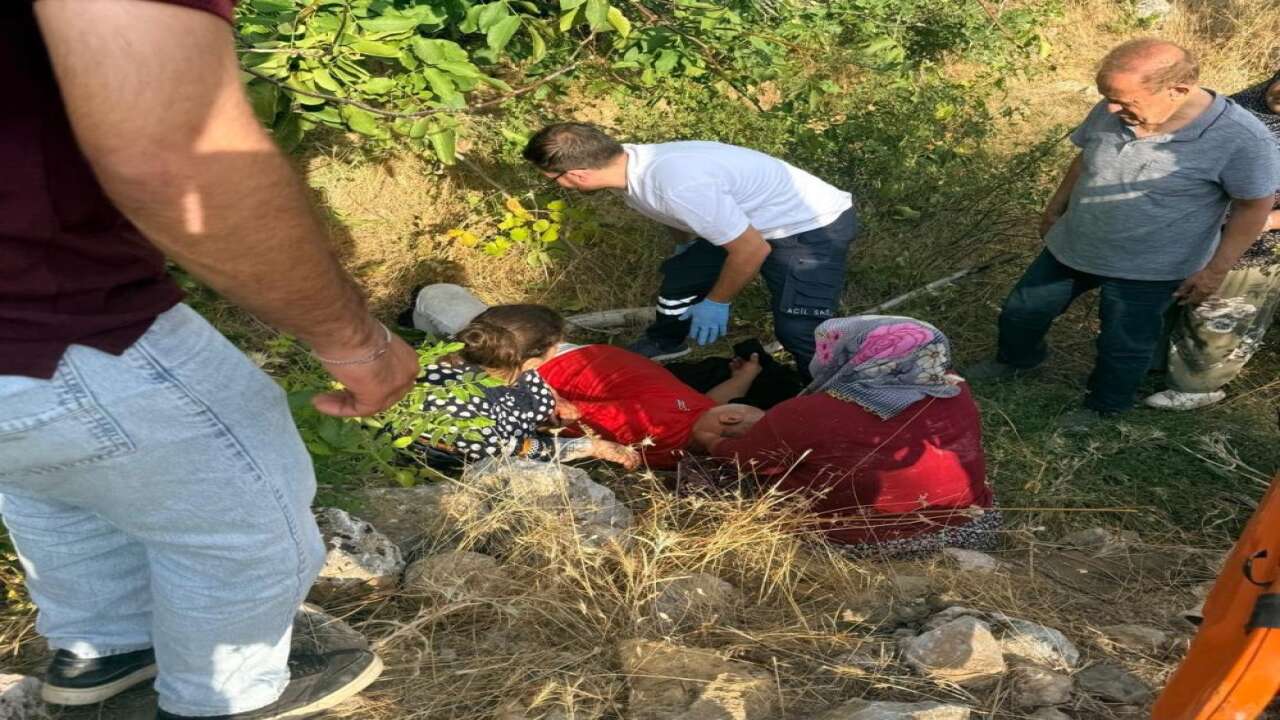 Ceviz toplarken ağaçtan düşen kişi yaralandı