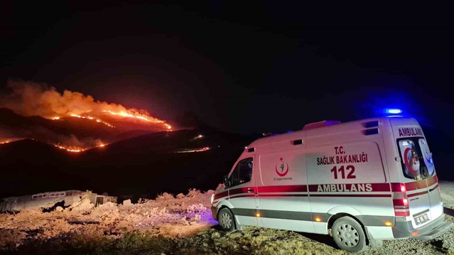 Bodrum'da makilik alan alev aldı! Rüzgar yangını geniş bir alana taşıdı