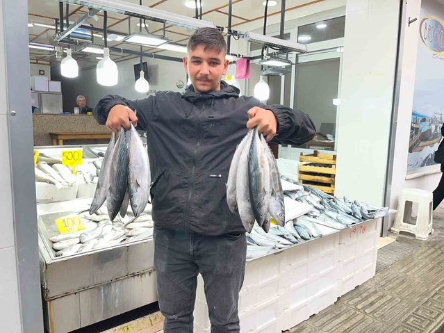 Balık sezonu Sinop'ta fiyatları düşürdü: Palamut 50 liraya kadar indi