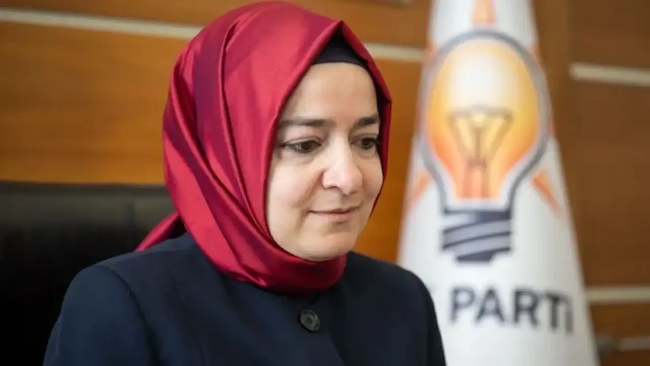 AK Parti Genel Başkan Yardımcısı Kaya, görevlerinden affını istedi