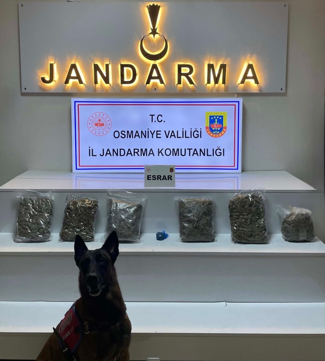 Jandarma Zorkun Yaylası'ndaki evde 2 kilo 800 gram esrar buldu, 3 şüpheli tutuklandı
