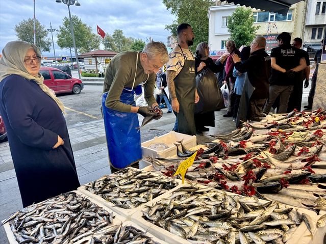 Trabzon'da palamut tanesi 100-125 liradan satılıyor, balıkçılar taze olduğunu söyledi