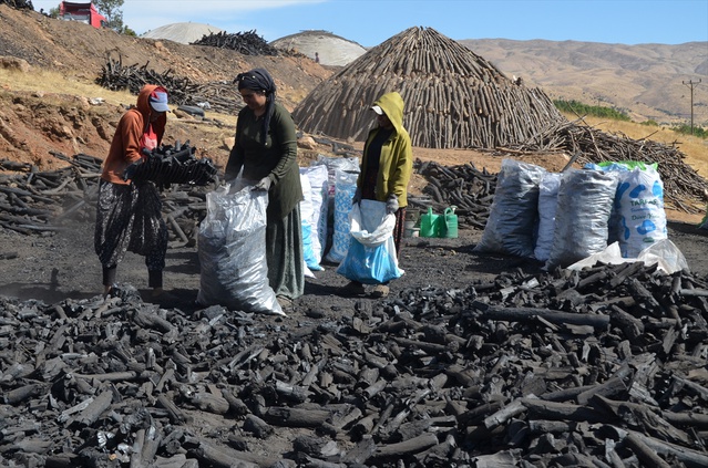 Muş Şenyayla'da 17 aile bu yıl yaklaşık 2 bin ton mangal kömürü üretti