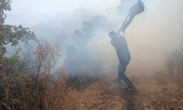 Siirt Doluharman'daki yangına ekipler engebeli arazide yaya müdahale ediyor