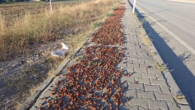 Kütahya Hisarcık'ta elma kurutanlar kaldırımı kullanınca yaya geçişi etkilenebiliyor