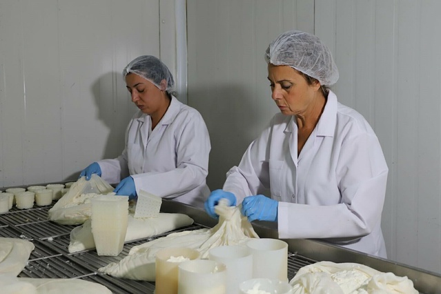 Canan Urhan, Fransa'da öğrendiği peynir yapımını Menemen'de mesleğe dönüştürdü