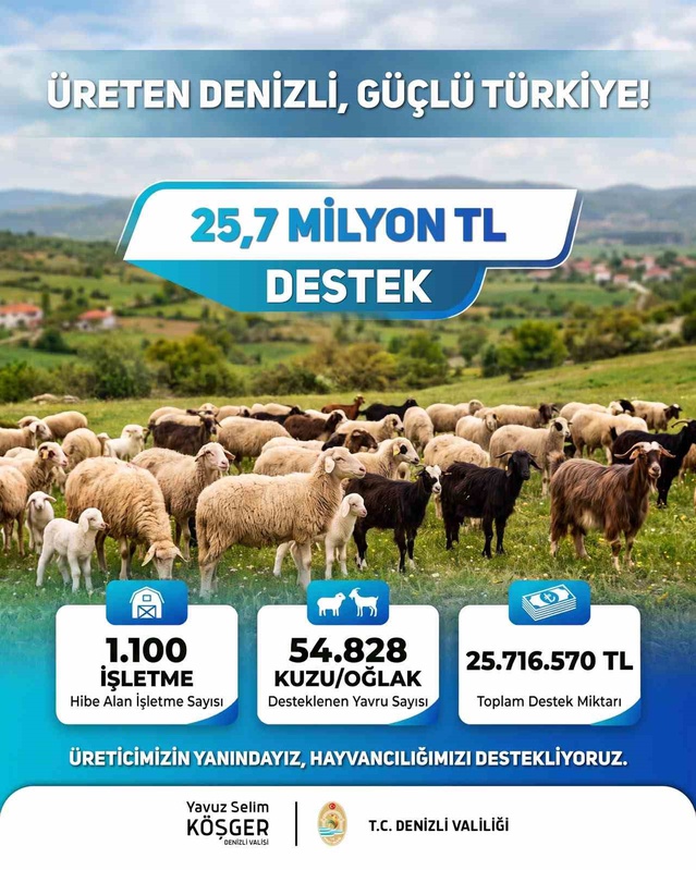 Denizli'de 2025 2. dönem kuzu ve oğlak desteğinde 25 milyon 716 bin 570 TL ödendi