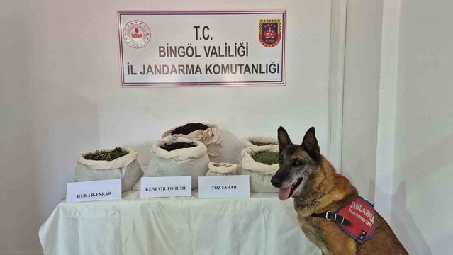 Bingöl'de jandarma son bir haftada 2 şüpheliyi tutukladı, 22 olaya müdahale etti