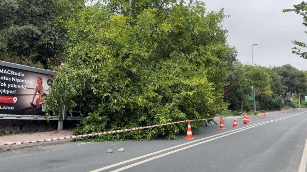 Yağış sonrası ağaçlar devrildi, rögarlar taştı
