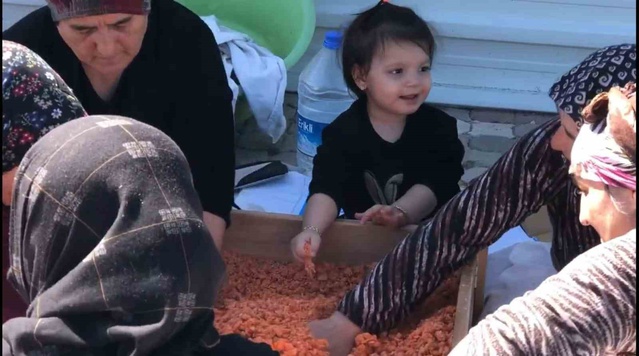 Kütahya Tavşanlı Kuruçay'da kadınlar imeceyle tarhana hamurunu kurutup kışa hazırladı