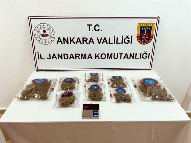 Ankara'da jandarma baskınlarında evde kenevir yetiştiren 4 şüpheli gözaltına alındı