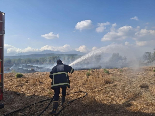 Hatay Hassa'da zeytinlik ve anız yangını sirayet etmeden kontrol altına alındı