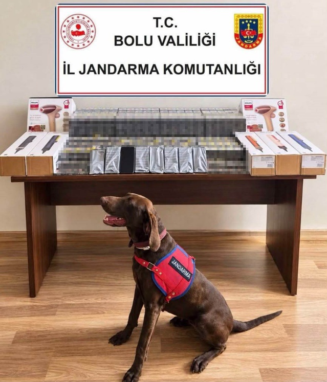 Bolu'da yolcu otobüsünde 450 bin liralık kaçak sigara ele geçirildi