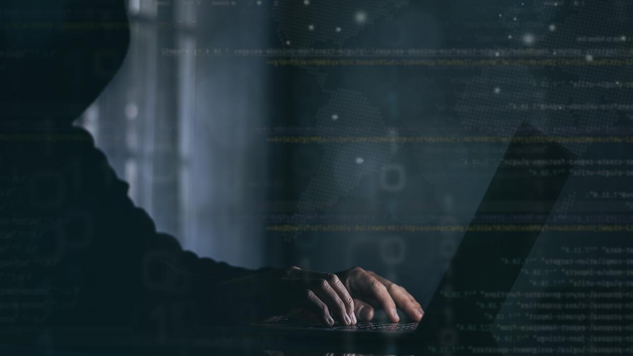 Riner'i hedef alan siber zorbalığa soruşturma