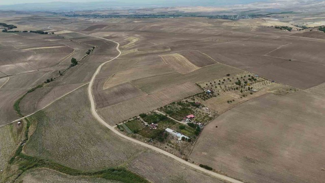 Yozgat'ta emekli öğretmen Karakoç, 14 dönümlük bozkırı 15 yılda yeşil vahaya çevirdi