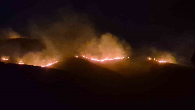 Muğla Bodrum'da Mandıra mevkisindeki yangın kontrol altına alındı, soğutma sürüyor