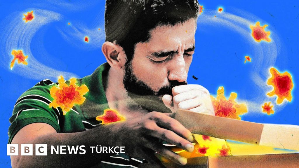 İleri yaşlarda nasıl yeni alerji gelişiyor?