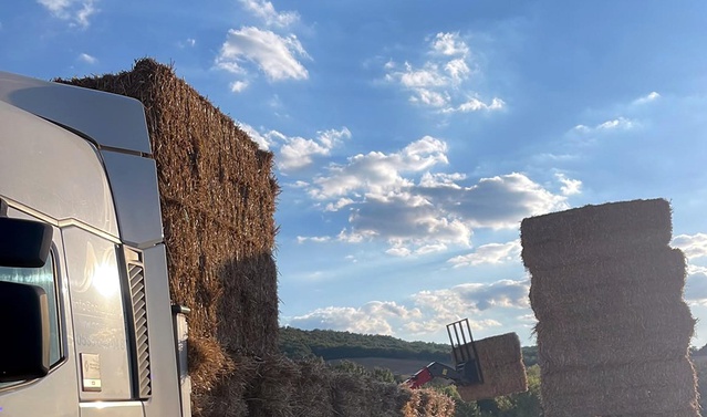 Tekirdağ'da üzerine yaklaşık 500 kilo saman balyası düşen çiftçi öldü