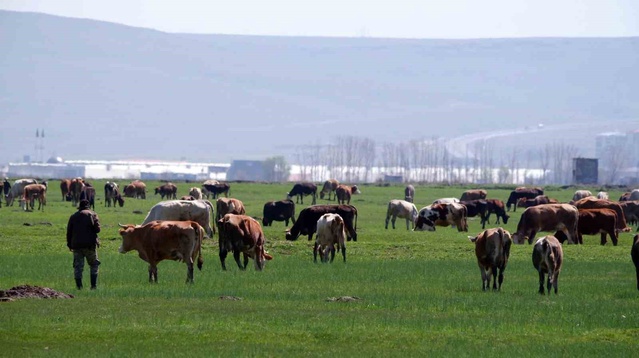 KKYP'de 329 proje onaylandı, Erzurum'a 171,2 milyon TL hibe desteği sağlanacak