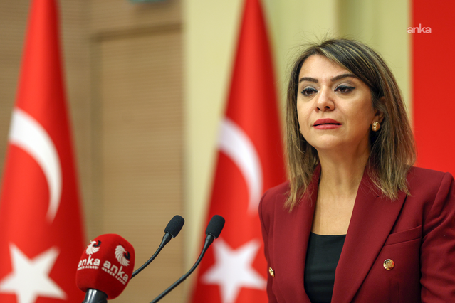 YENİ Partili Taşcıer, çocukların ateşli silaha erişimini önergeyle Meclis'e taşıdı