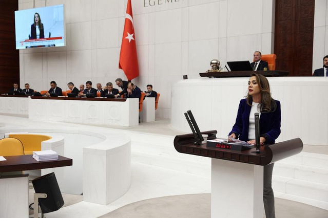 İlgezdi, 2017-2026 Temmuz arasında MESEM'de 646 çocuğun çalışırken öldüğünü belirtti