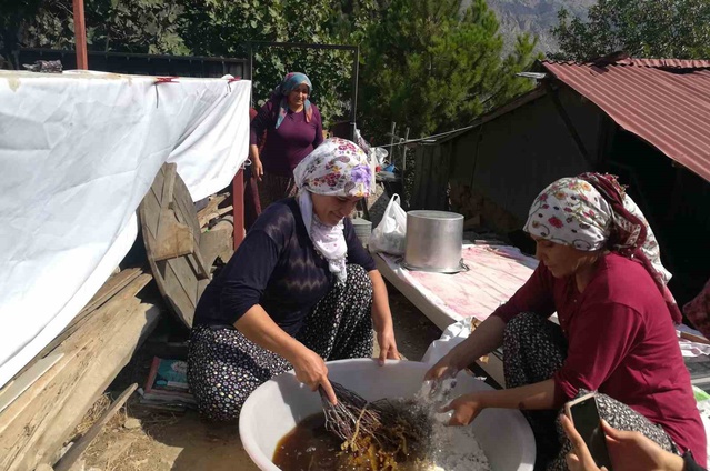 Kemaliye'de erkekler dut toplamada destek veriyor, kadınlar pestil ve pekmez yapıyor