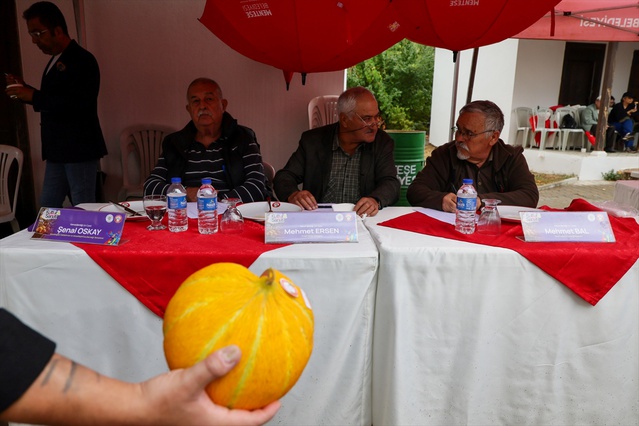 Karabağlar Yaylası'nda kavun yarışması birincisi Mehmet Dural altınla ödüllendirildi