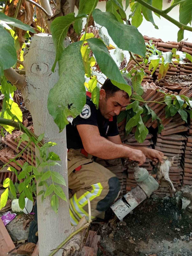 Hatay İskenderun'da vanada mahsur kalan yavru kedi sanayideki müdahaleyle kurtarıldı