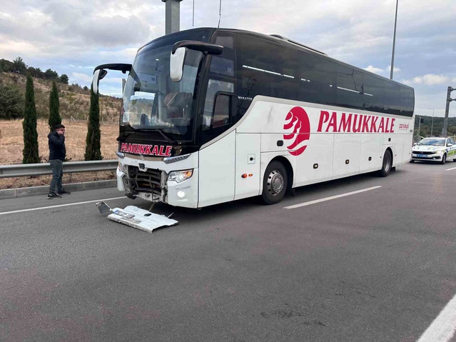 Çanakkale Ayvacık'ta otobüsün çarptığı otomobilde 2 kişi öldü, 3 köpek telef oldu