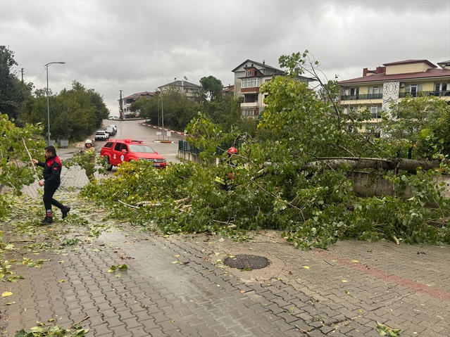 Bartın'da sağanak ve kuvvetli rüzgar ağaçları devirdi, asansörde 8 kişi kurtarıldı