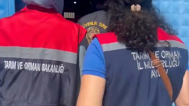 Aydın Köşk'teki incir işletmesinde 25 ton etiketsiz incir ele geçirildi