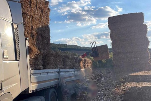 Tekirdağ Malkara'da 500 kiloluk saman balyalarının altında kalan adam öldü