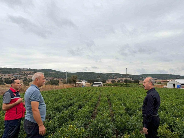 Balıkesir Karesi'de turşuluk biberiye tarlasını İl Tarım Müdürü Düzgün ziyaret etti