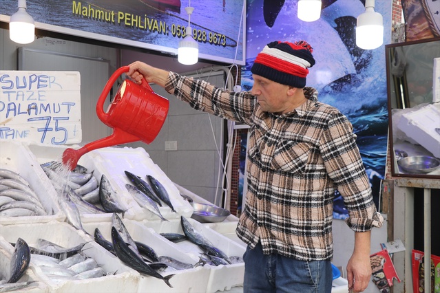 Rize'de palamut bolluğu yaşanıyor, tezgahlarda 50 ile 100 lira arasında satılıyor
