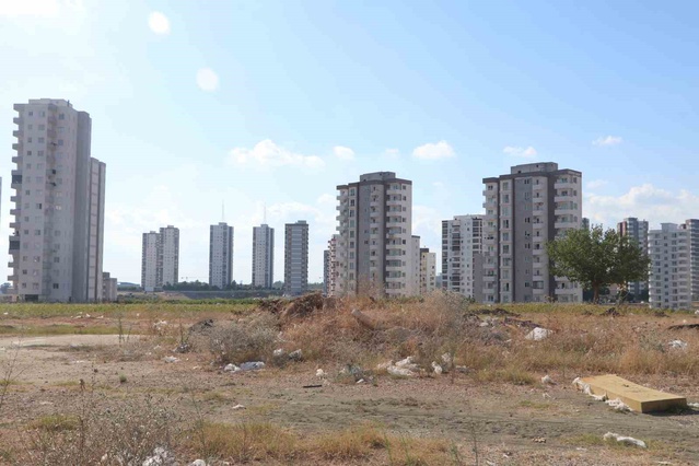 Adana'da mahalleliyi uykusuz bırakan ses: Cırcır böcekleri 100 desibele ulaştı
