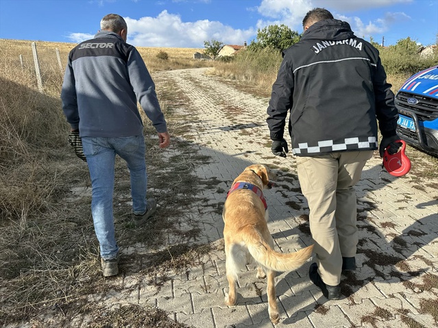Çorum Alaca'da kaybolan Alzheimer hastası 78 yaşındaki kadına 15 km uzakta ulaşıldı