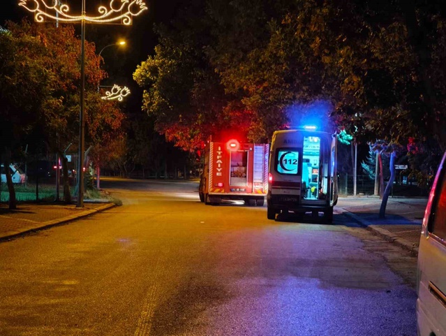 Bilecik Osmaneli'de nehre düşen kişiyi ekipler, devrilen ağaca rağmen kurtardı