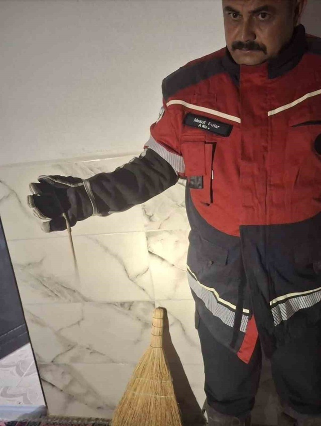Hatay'da yerleşim alanına giren yılanlar zarar verilmeden yakalanıp doğaya bırakıldı