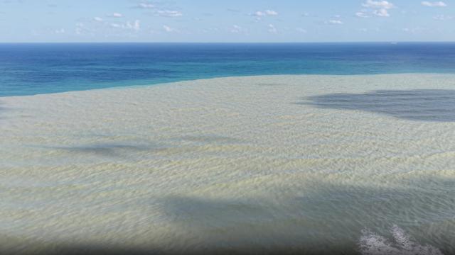 Derelerin taşıdığı çamurlu su Sinop'ta denizin rengini değiştirdi