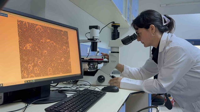 TOGÜ'lü Doç. Dr. Tosun'un akıllı ilaç taşıyıcı projesi TÜSEB desteği kazandı