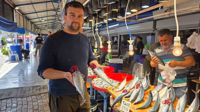 Bandırma'da yaklaşık 750 gramlık palamutlar 150 liradan satışa sunuluyor