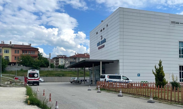 Kastamonu Taşköprü'de 65 yaşındaki orman işçisi arı sokmasıyla hayatını kaybetti