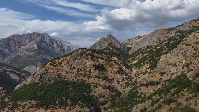 Tunceli'de Hüseyin Yalnız, 45 yıl sonra döndüğü Peter Köyü için yol ve köprü istedi