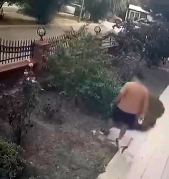 İzmir'de yavrulu kediye tekme atan saldırgan yakalandı