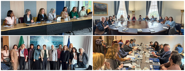 DEM Parti heyeti Belfast ve Dublin'de kadınların çözüm sürecine katılımını ele aldı