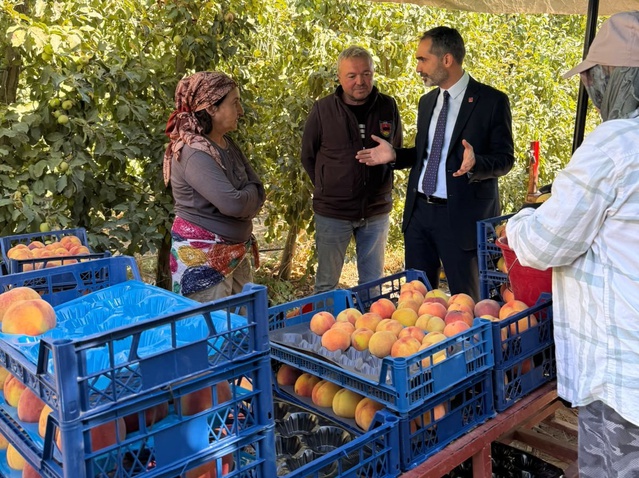 CHP'li heyet Çivril'de şeftali üreticisinin maliyet sorunlarını yerinde dinledi