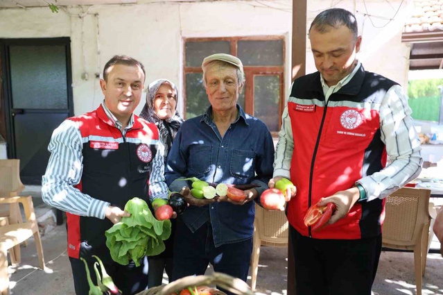 Muğla Menteşe'de yayla kavunu ile ata tohumu sebzelerin hasadı yapıldı.